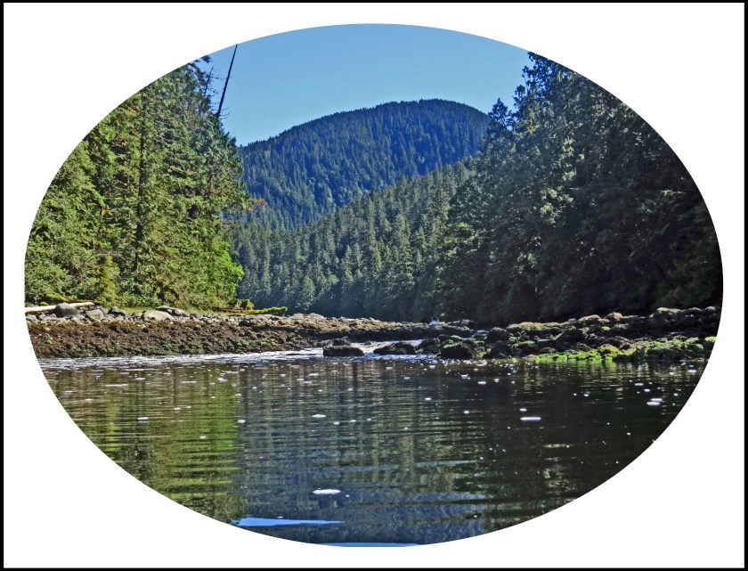 WallaceBightAug2017-10