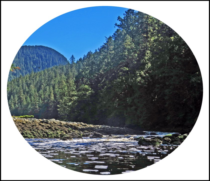 WallaceBightAug2017-40