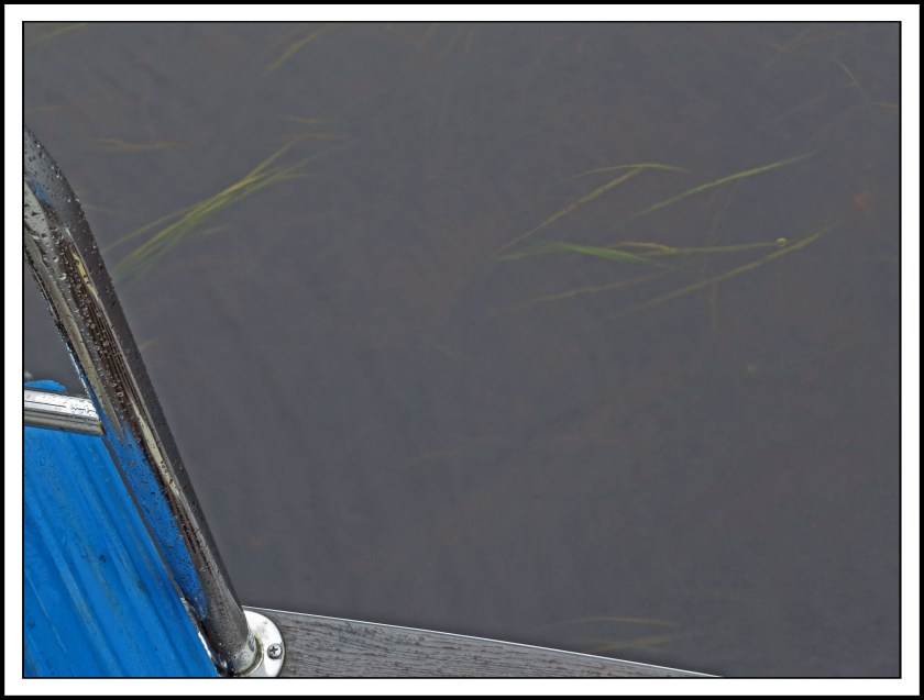 WeldAug2017LowTide-IMG_8922_edited-1