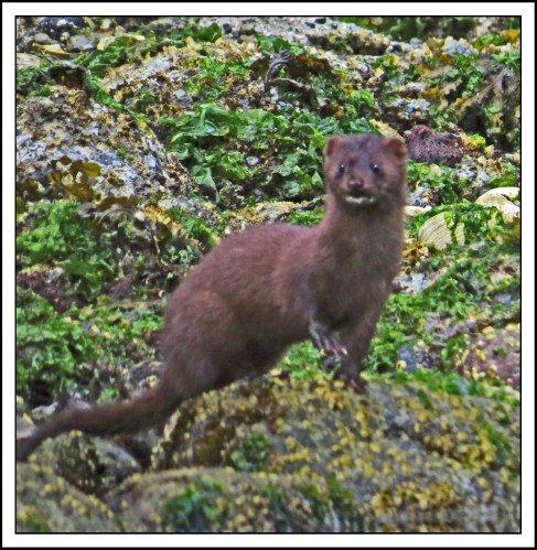 ForwardSept2017-IMG_3713_edited-1