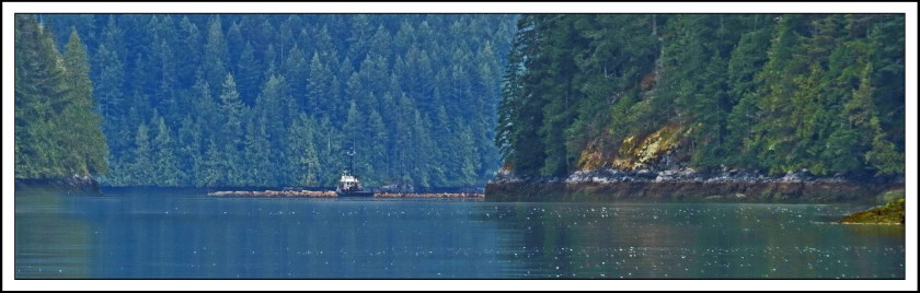 ForwardSept2017LogBoom-IMG_3770_edited-1